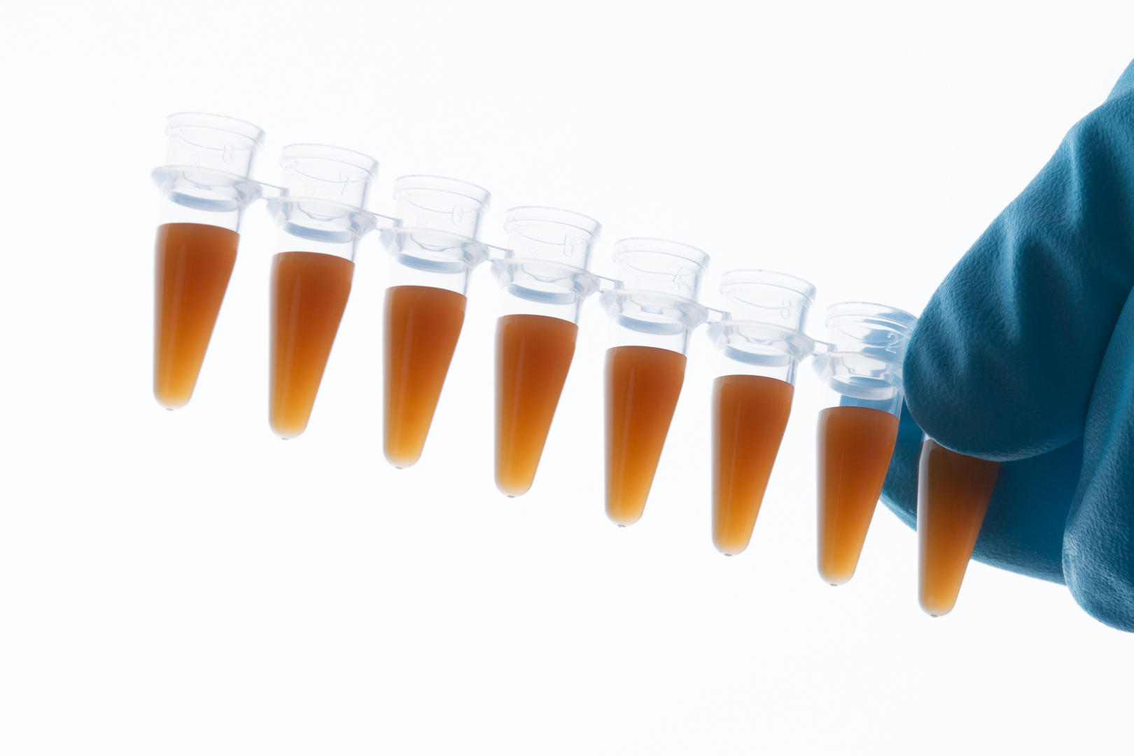 AMPure XP by Beckman Coulter for PCR Purification