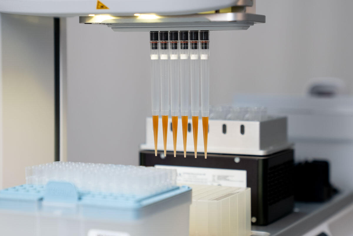 DNA extraction performed on the ASSIST PLUS equipped with a HEATMAG module.