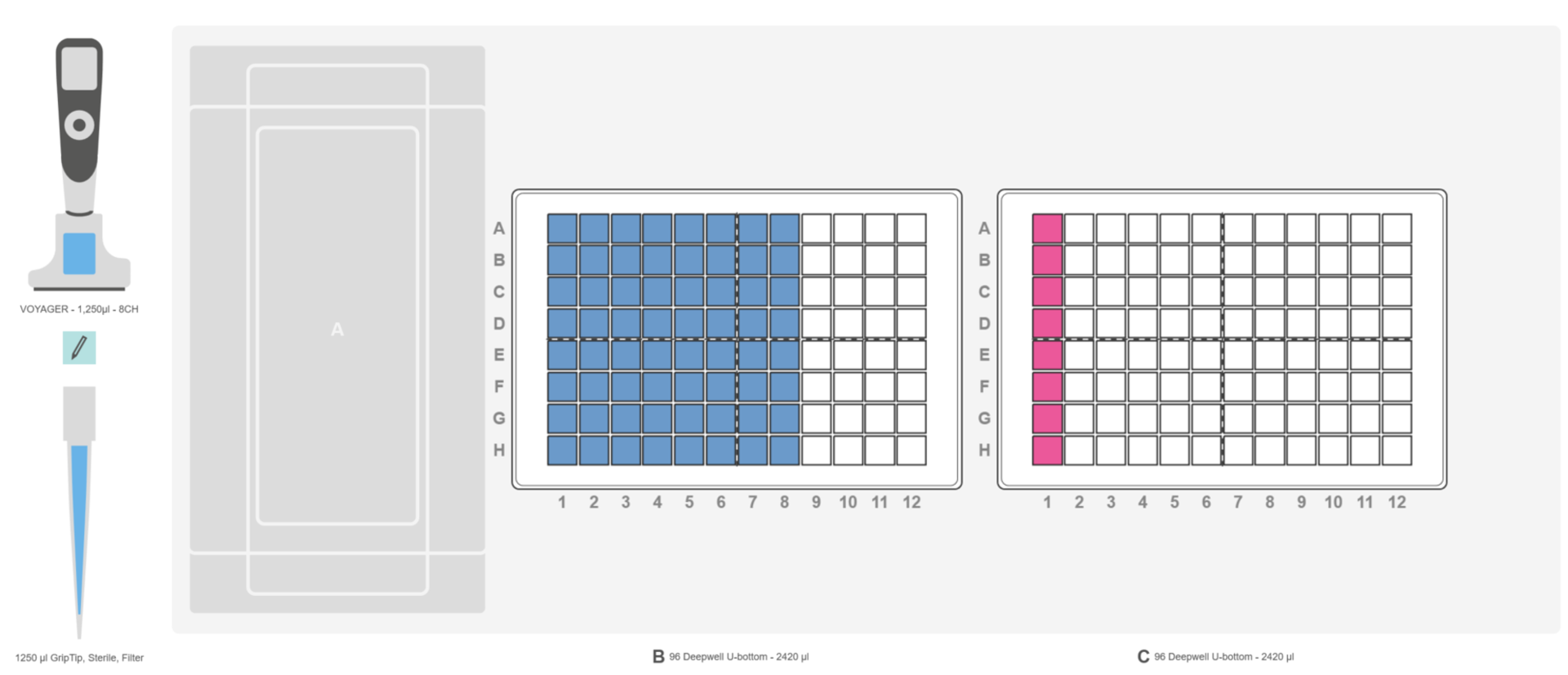 Figure 3: Deck set-up for the column pools. Position A: Empty. Position B: 96 deep well plate containing 64 samples (blue) in landscape orientation. Position C: empty 96 deep well plate.