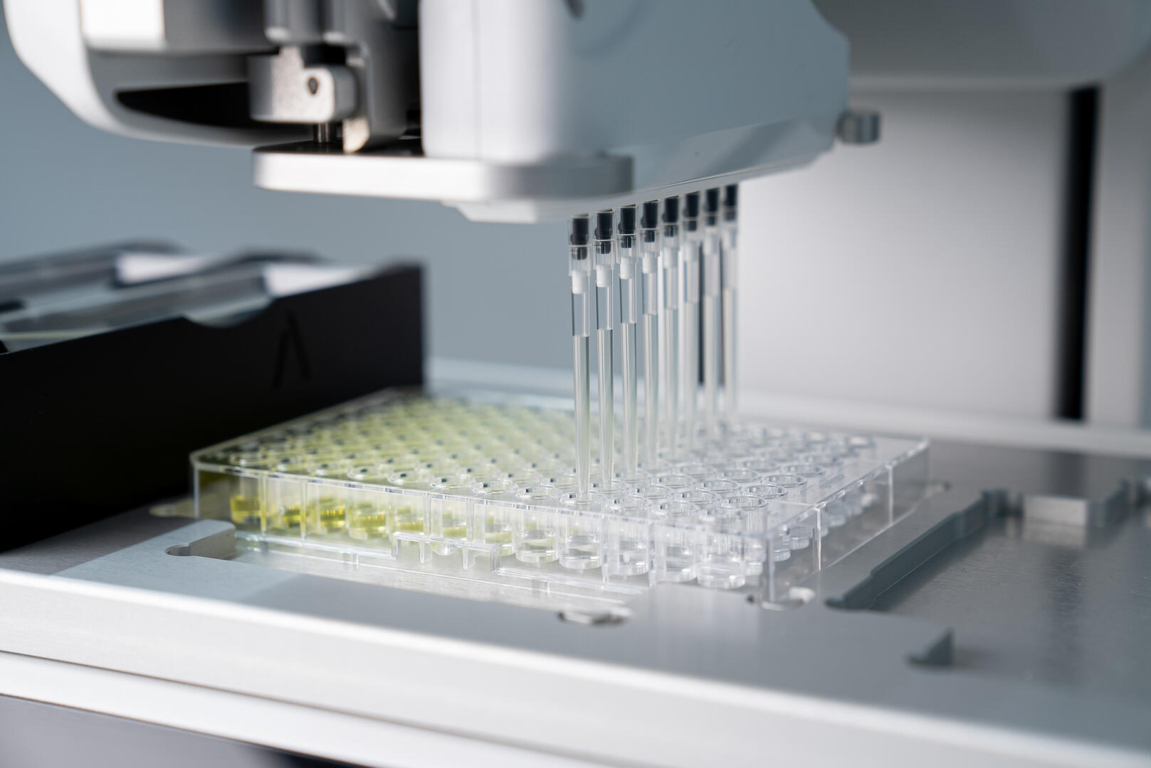 ASSIST PLUS pipetting robot is used to automate a serial dilution in a 96 well plate.