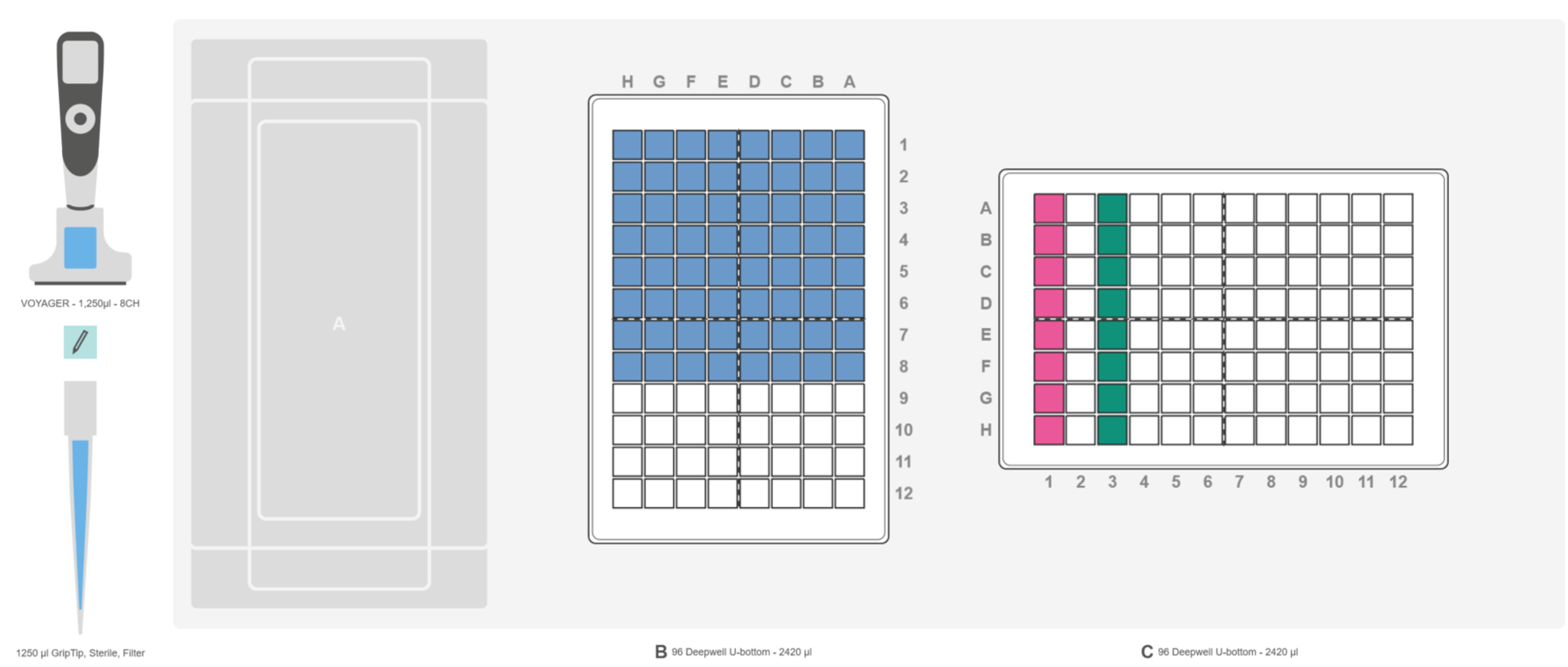 Figure 4: Set-up for the row pools. Position A: Empty. Position B: 96 deep well plate with 64 samples (blue) in portrait format. Position C: 96 deep well plate with the first set of samples pooled (pink).