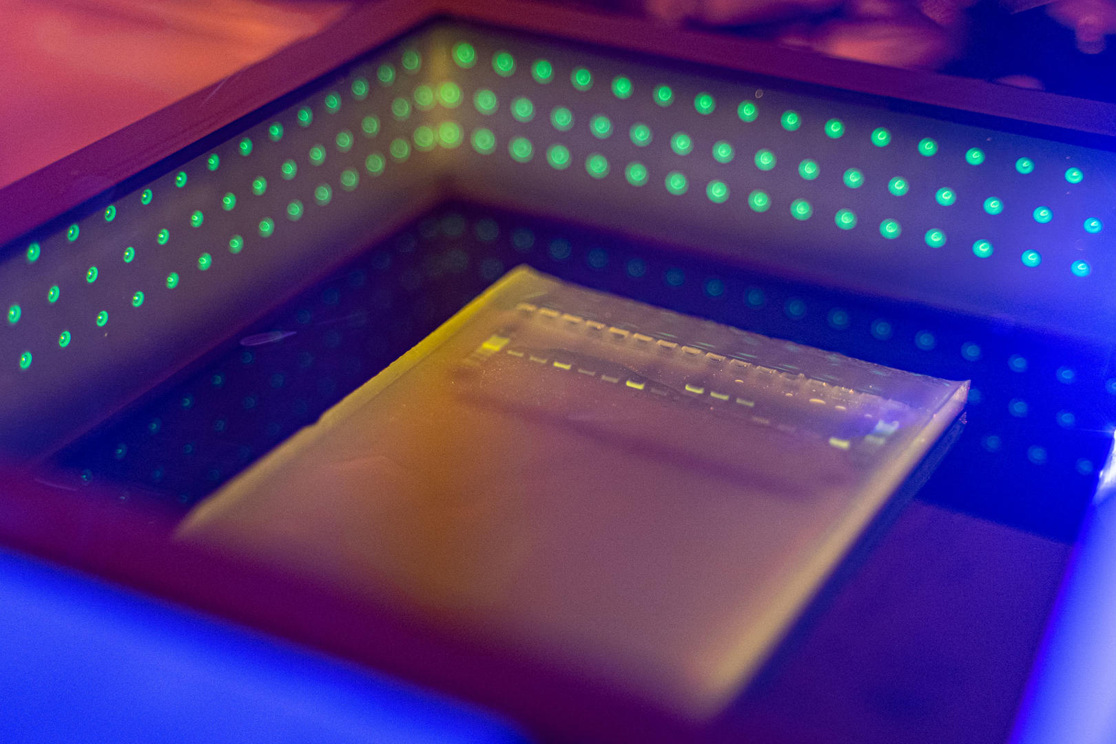 Nucleic acid purification - Agarose gel with clearly visible bands