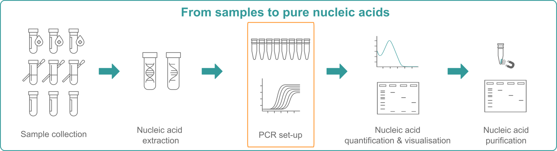 PCR Laboratory Set-up