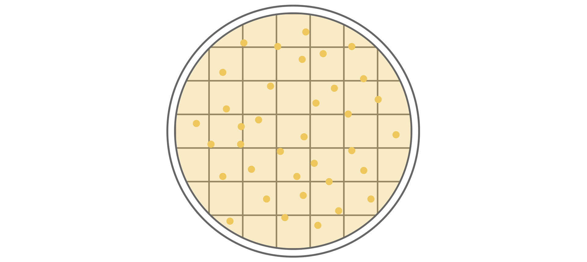 Top view of a Petri dish in which several cell colonies have formed