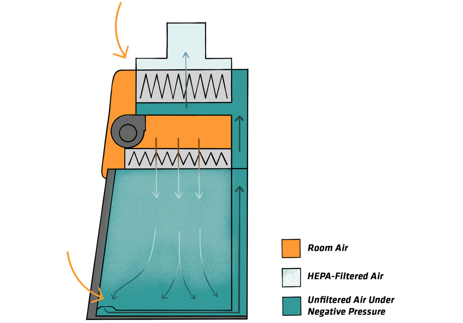 How a Class II biosafety cabinet works
