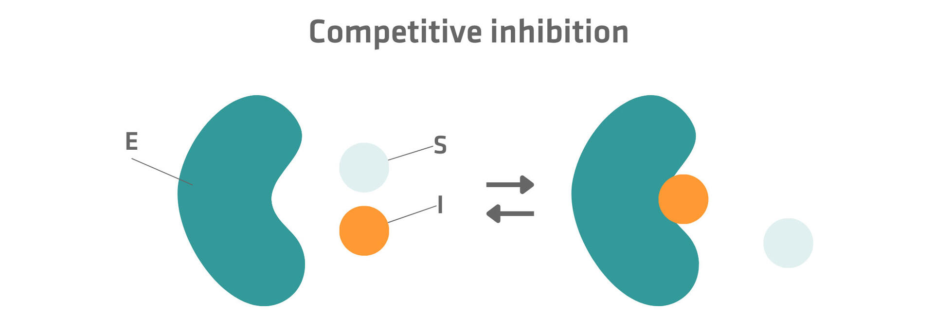 Competitive inhibition
