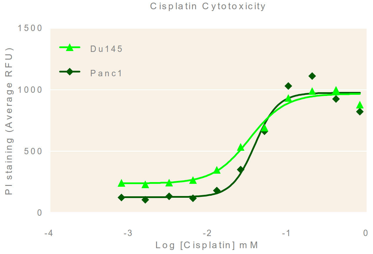 Figure 5: Concentration-dependent cisplatin cytotoxicity. Mean ± SD PI fluorescence of DU 145 and PANC-1 spheroids following 24 hour exposure to varying concentrations of cisplatin. N = 96 wells.