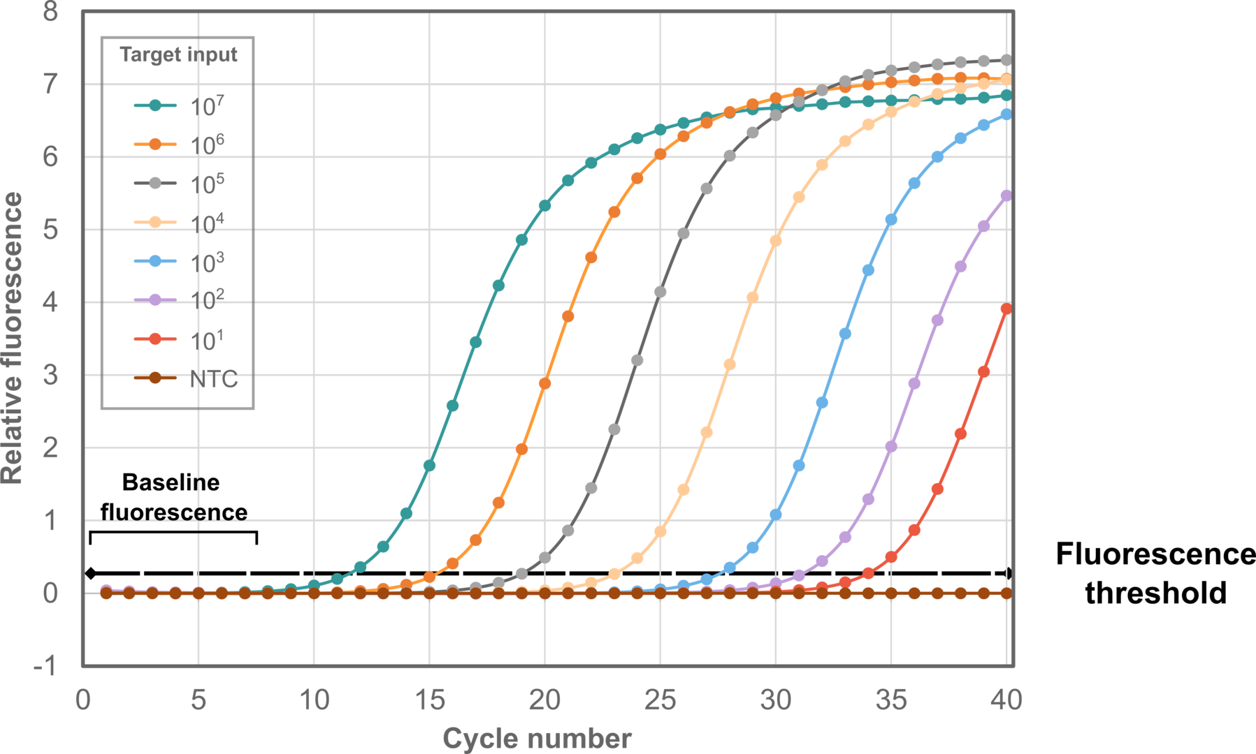 qPCR amplification plot