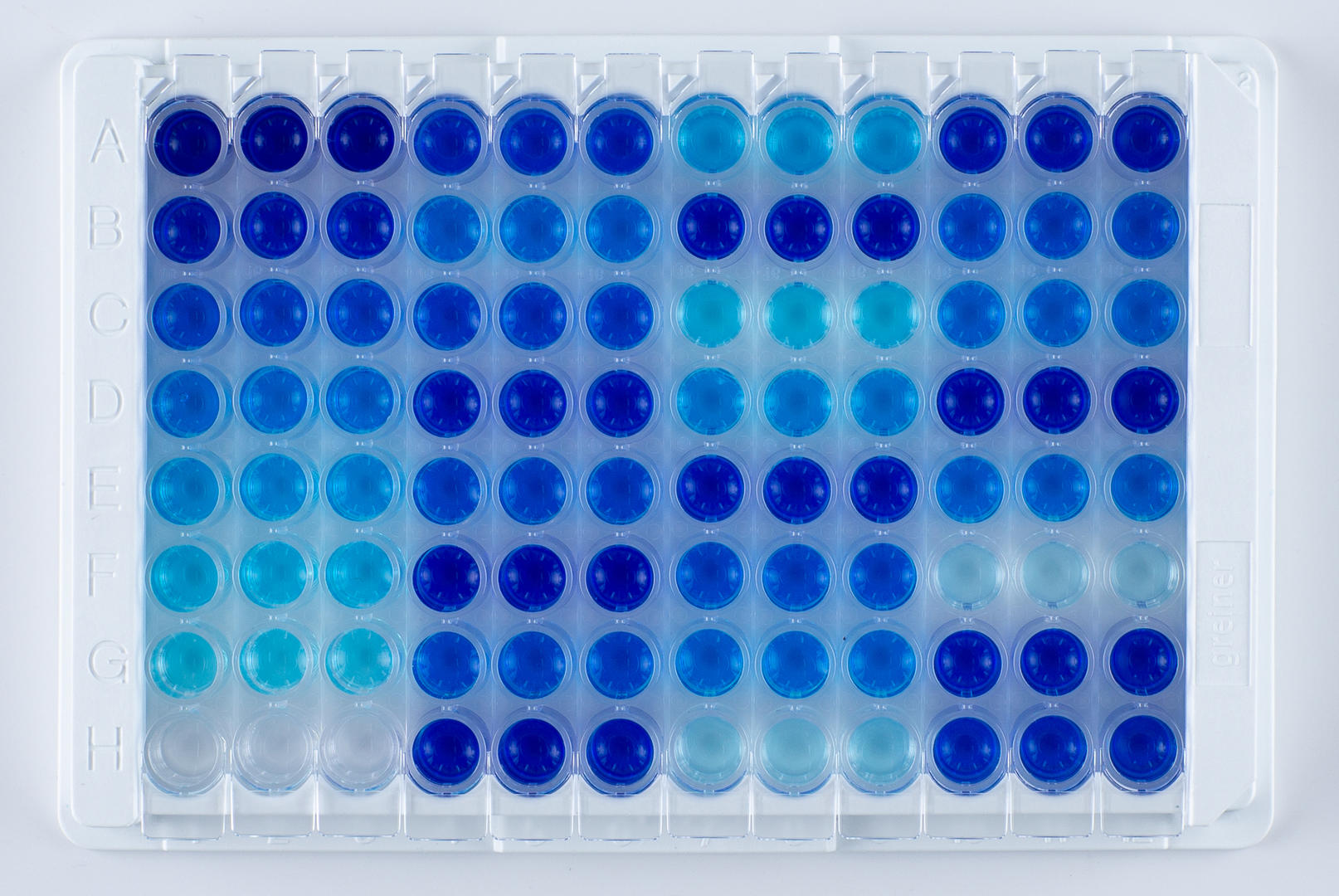 Elisa Plate Layout