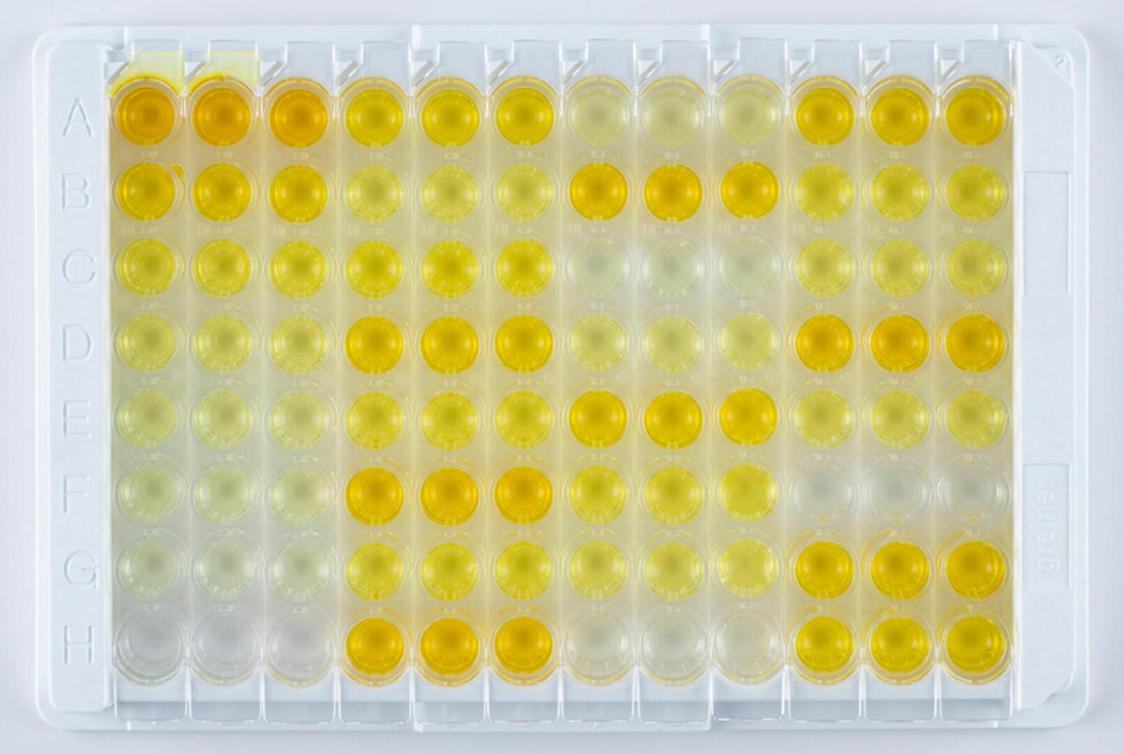 96 well plate with ELISA results