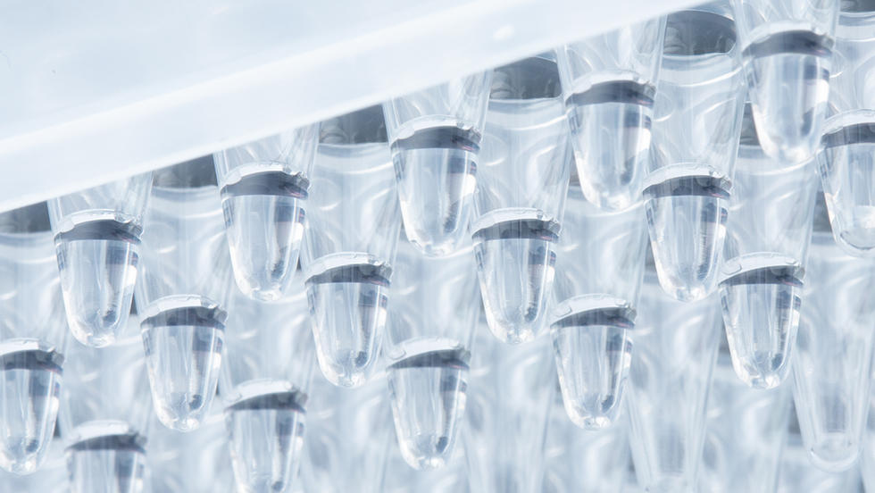 PCR purification with Beckman Coulter AMPure XP beads and the