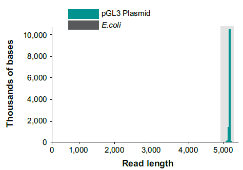 Histogram showing the read length distribution of plasmid DNA purified from 5 ml overnight E. coli culture using the automated ZymoPURE 96 miniprep protocol.