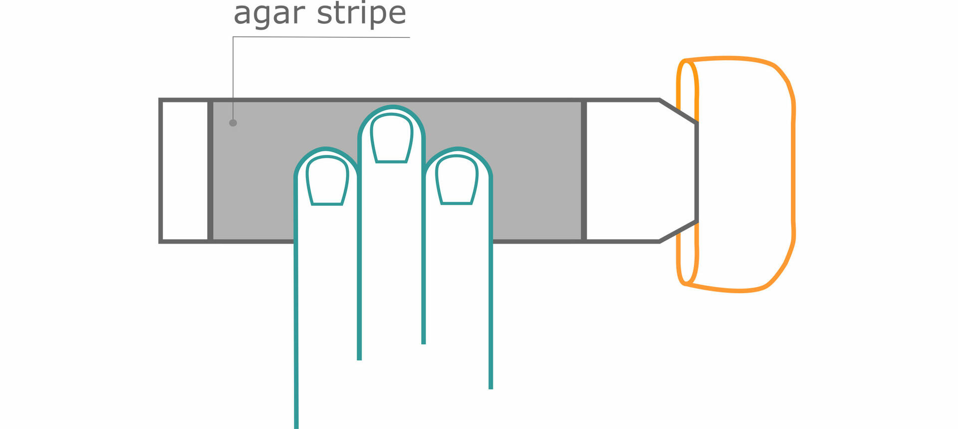 Finger dab hygiene test