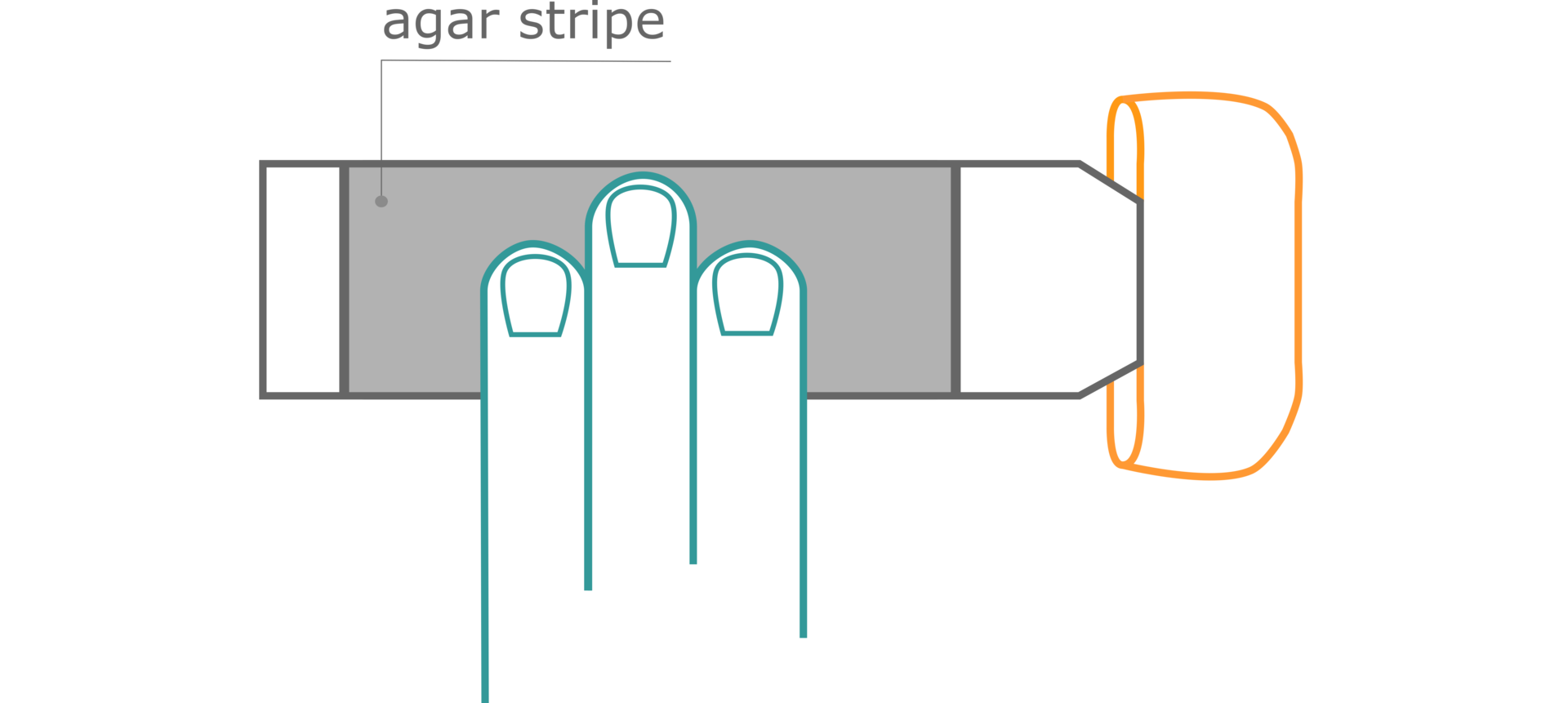 Finger dab hygiene test