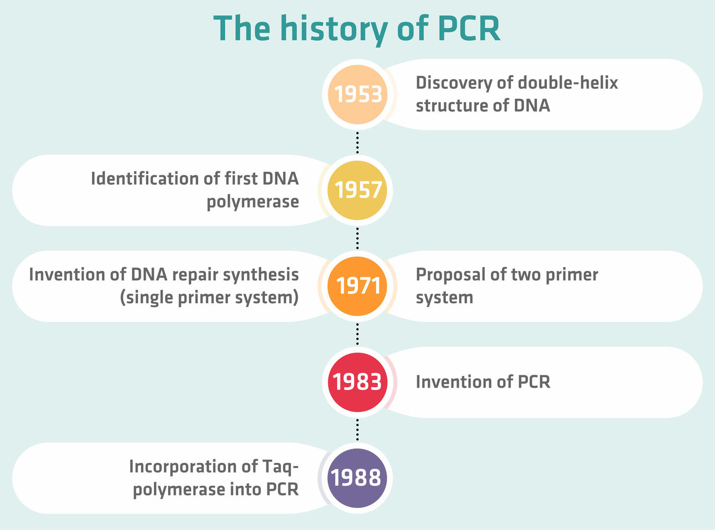 The history of PCR