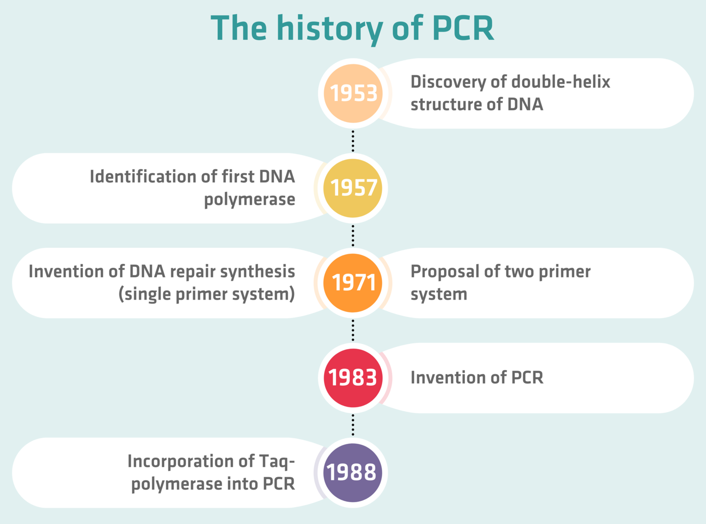 The complete guide to PCR | INTEGRA