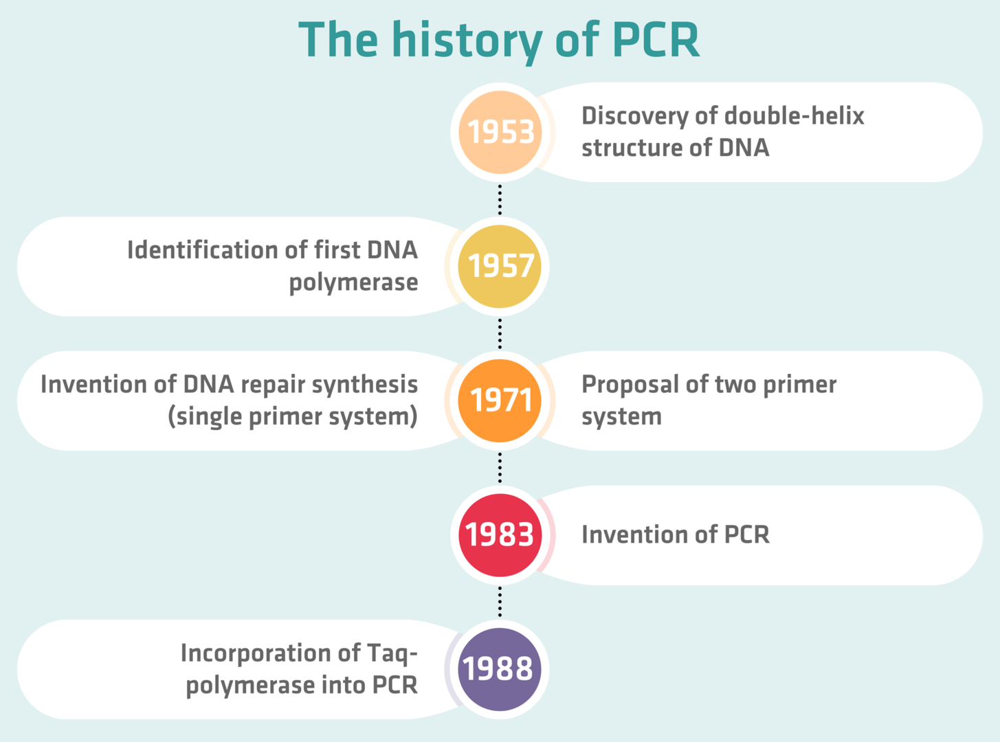 The history of PCR