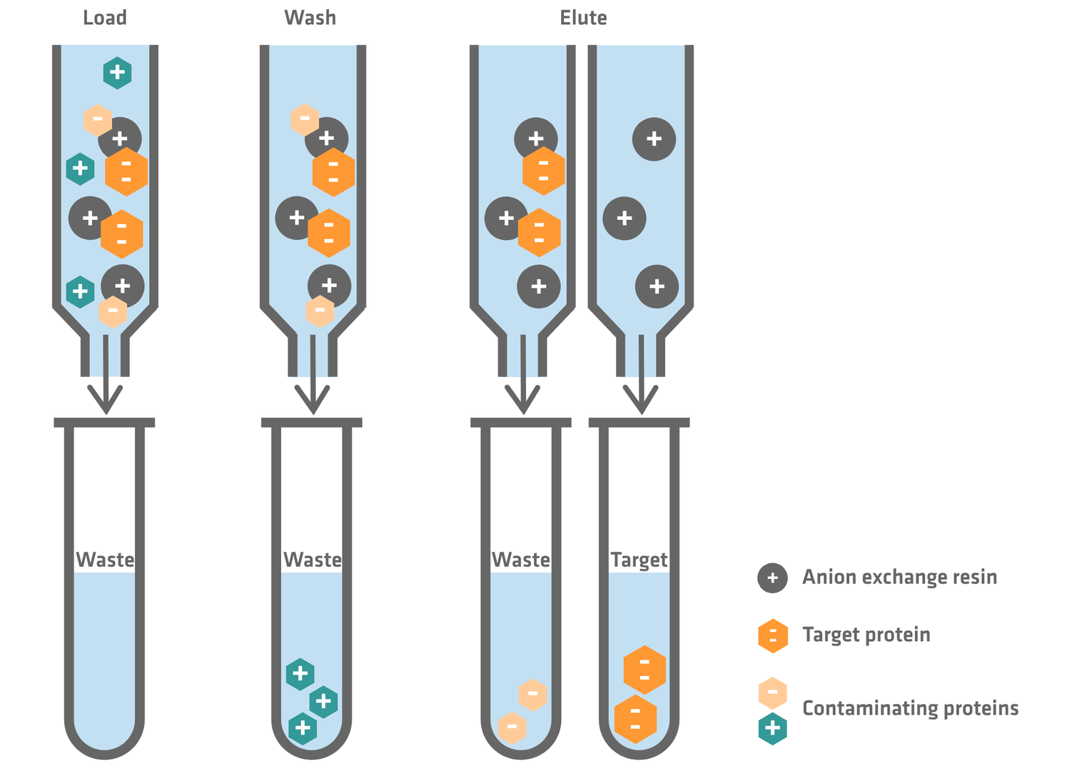 Ion exchange chromatography workflow