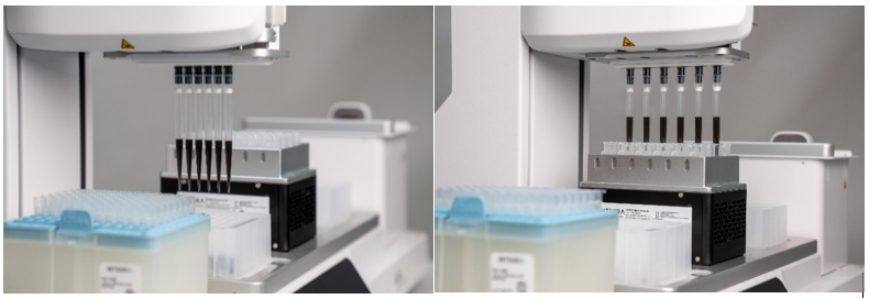gDNA extraction performed on an ASSIST PLUS equipped with a MAG module.