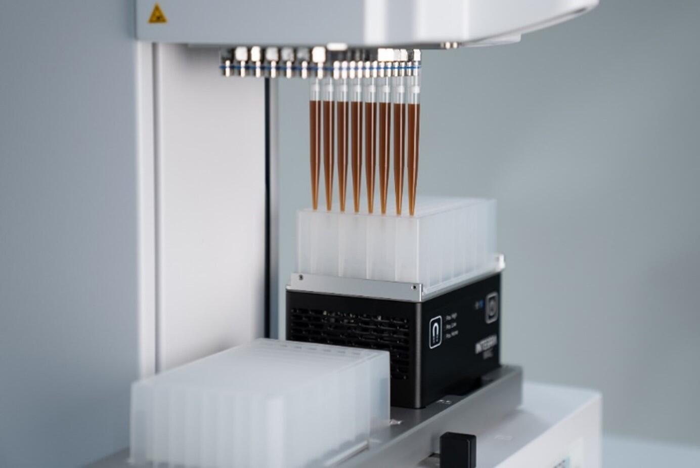 VIAFLO 96 electronic pipette dispensing magnetic beads into a deep well plate mounted on the MAG module.