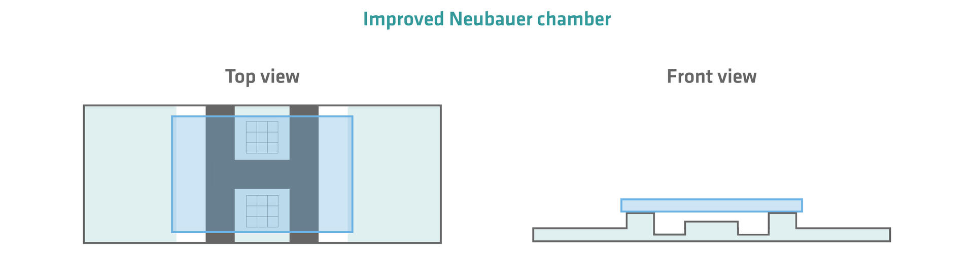 Top and front view of an Improved Neubauer chamber