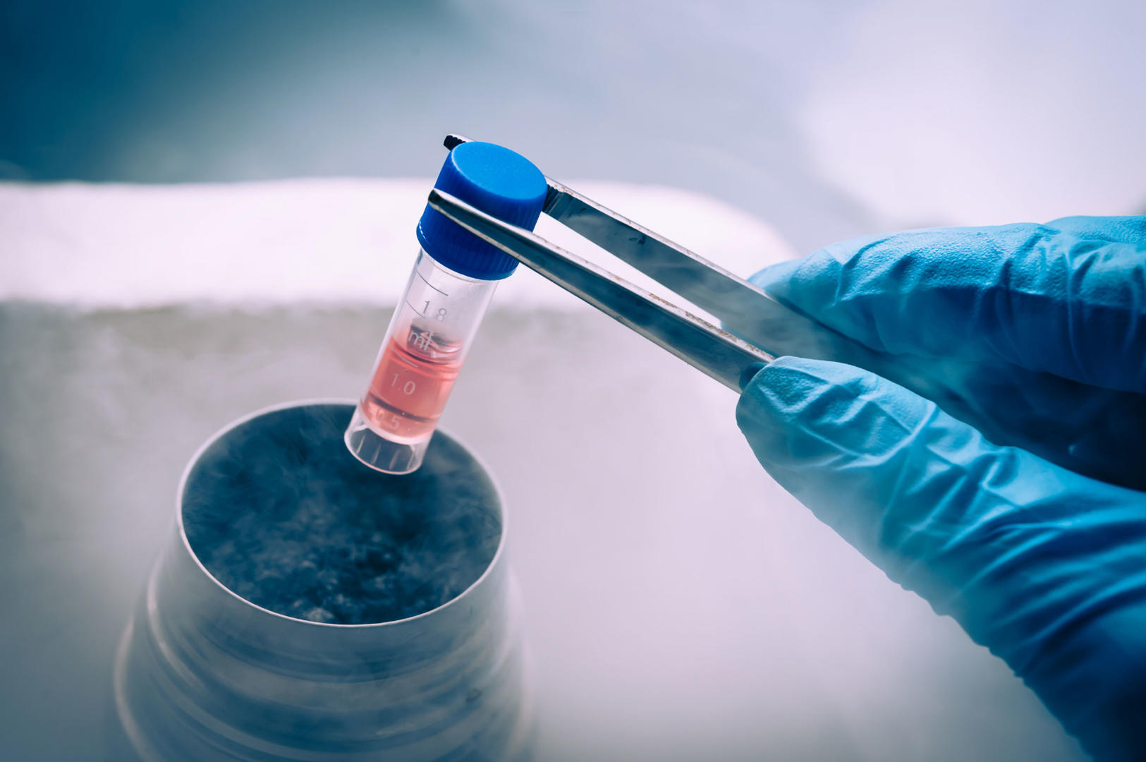 Sample storage: Scientist putting a sample into the vapor phase of liquid nitrogen