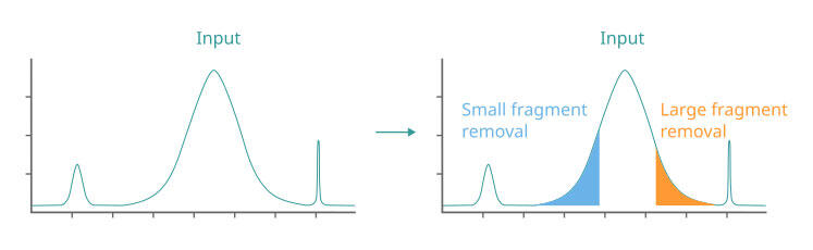 MAGFLO ngs single side size selection figure