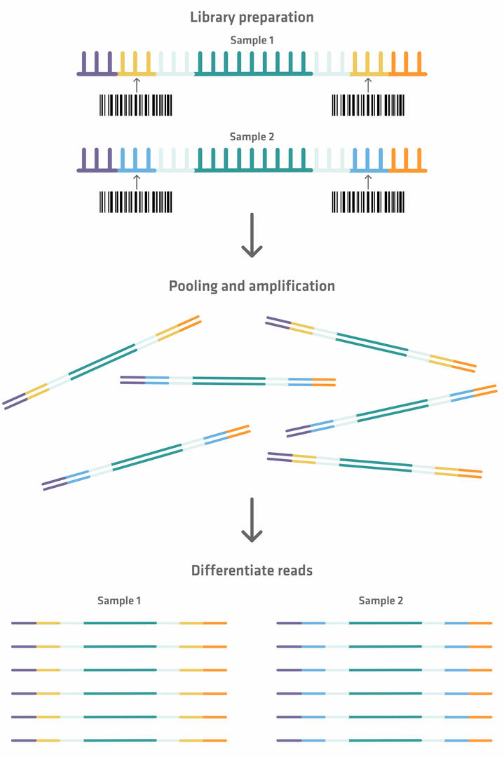 Microfluidic Platform for Next-Generation Sequencing Library Preparation with Low-Input Samples