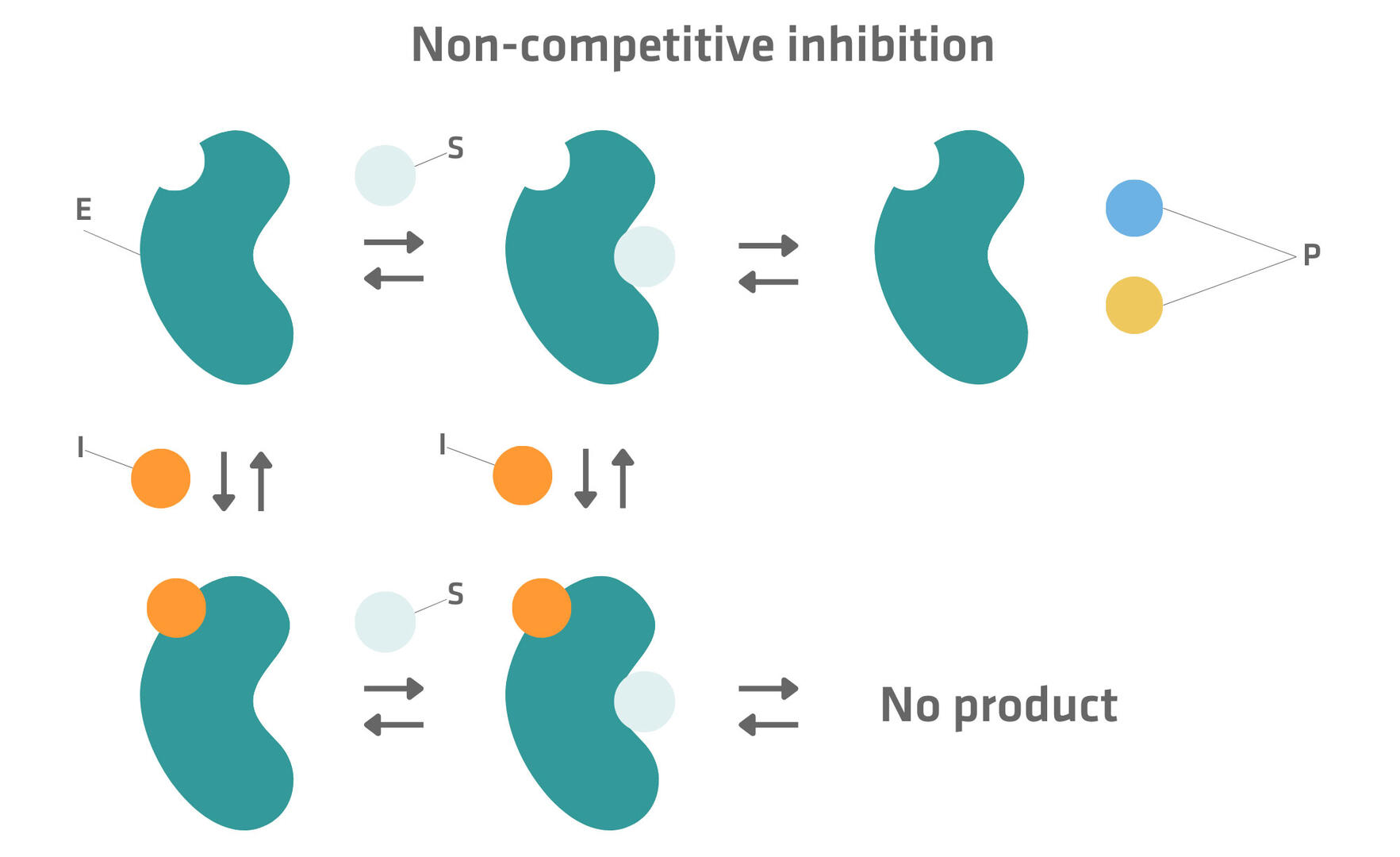 Non-competitive inhibition