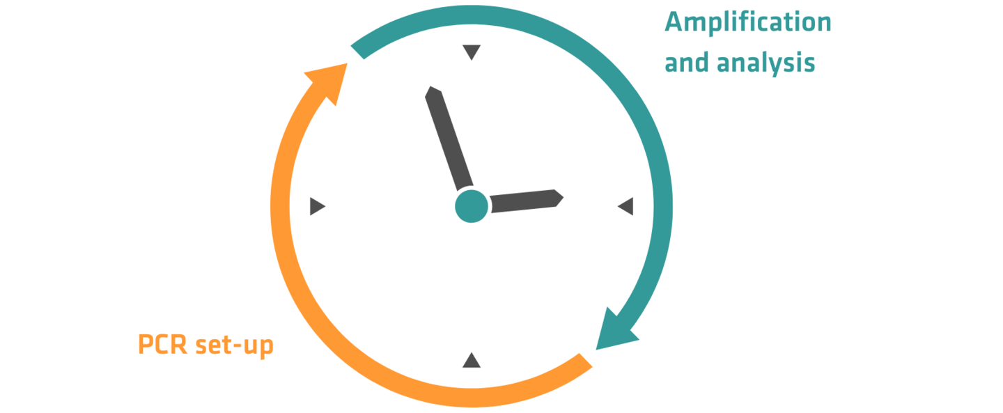 Clock explaining that the PCR set-up and the amplification and analysis shouldn't be performed at the same time