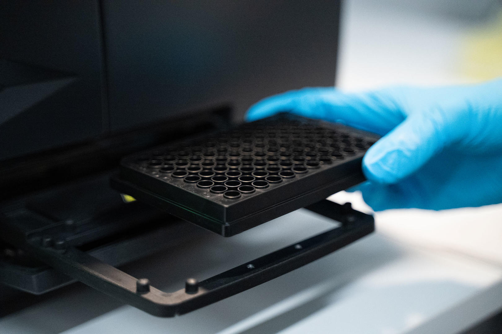 Scientist loading a 96 well plate into a plate reader to calculate DNA concentration