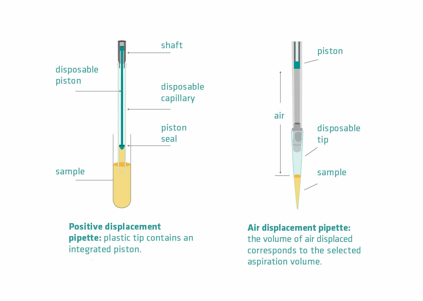 Contamination-pipetting: relative efficiency of filter tips compared to Microman® positive displacement pipette