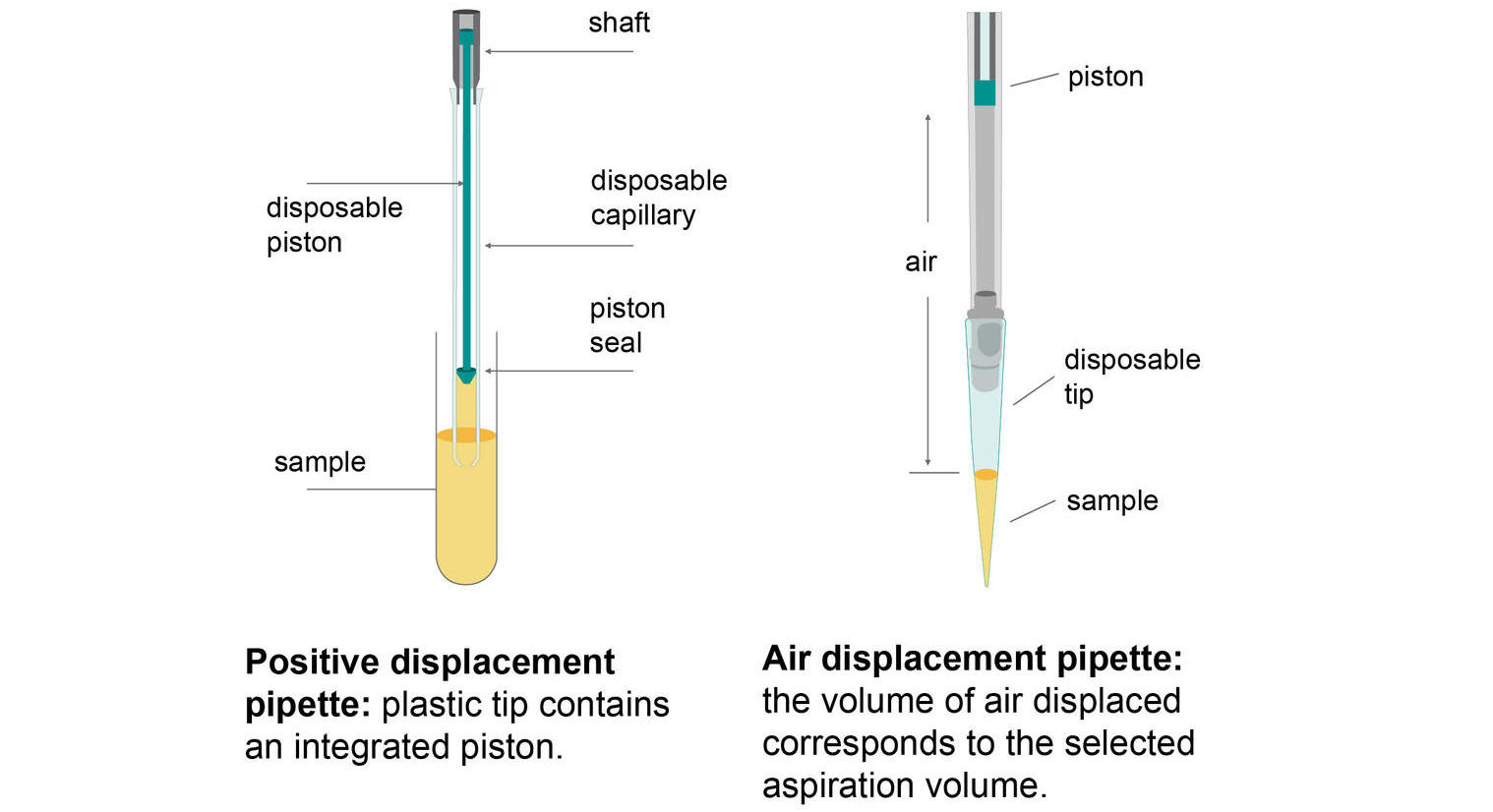 Micropipette definition: Positive vs air displacement pipette