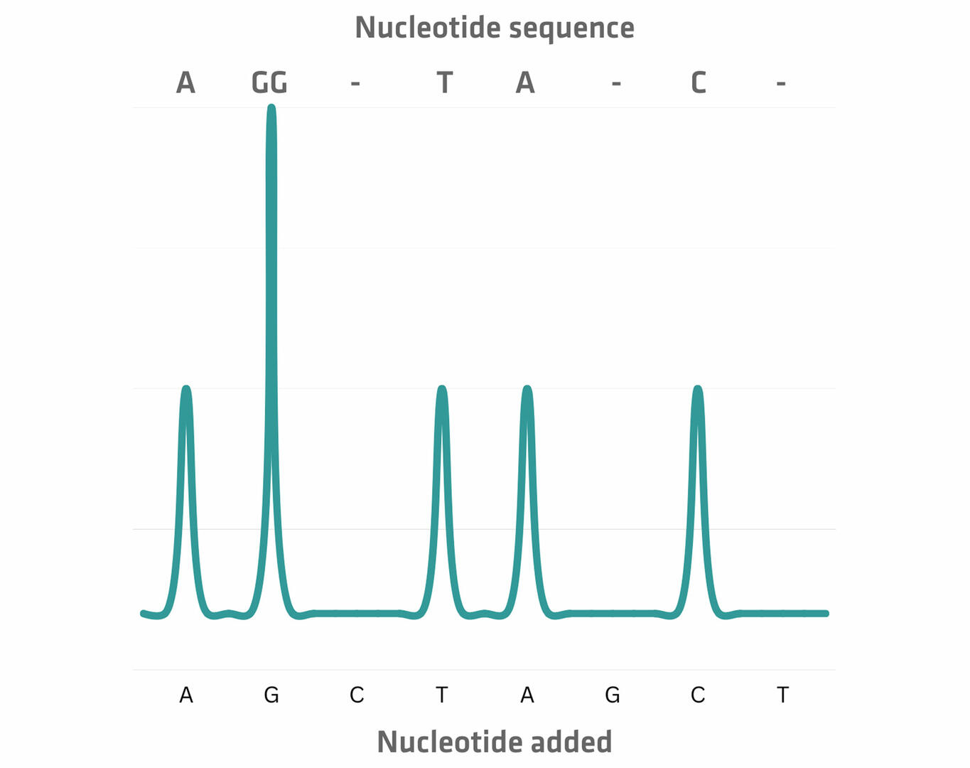 Data analysis for pyrosequencing