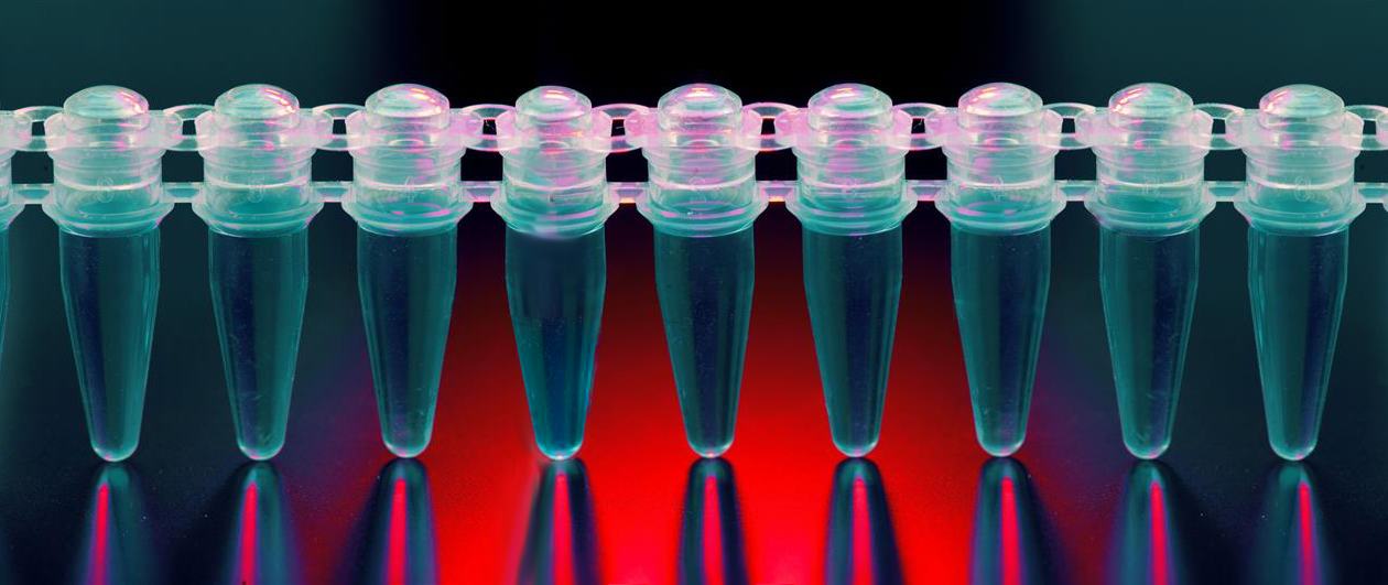 qPCR tubes
