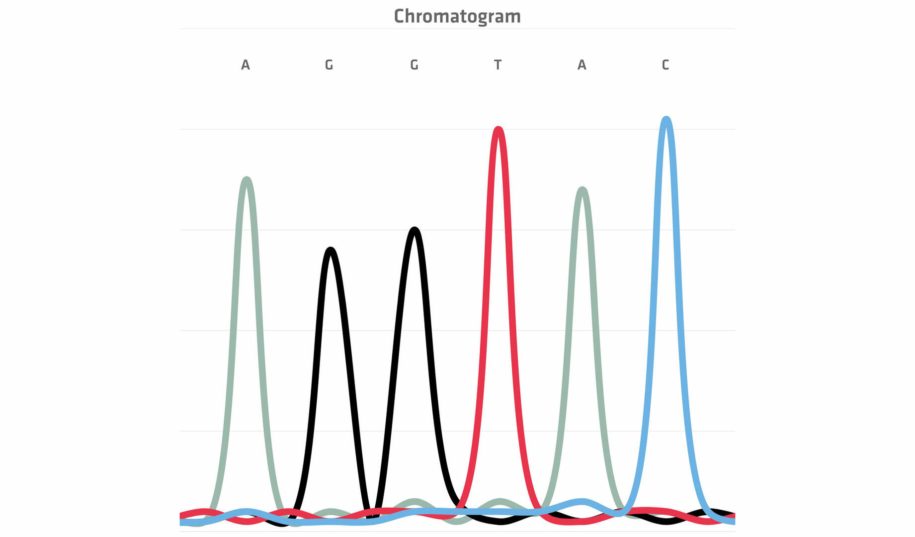 Sanger sequencing chromatogram