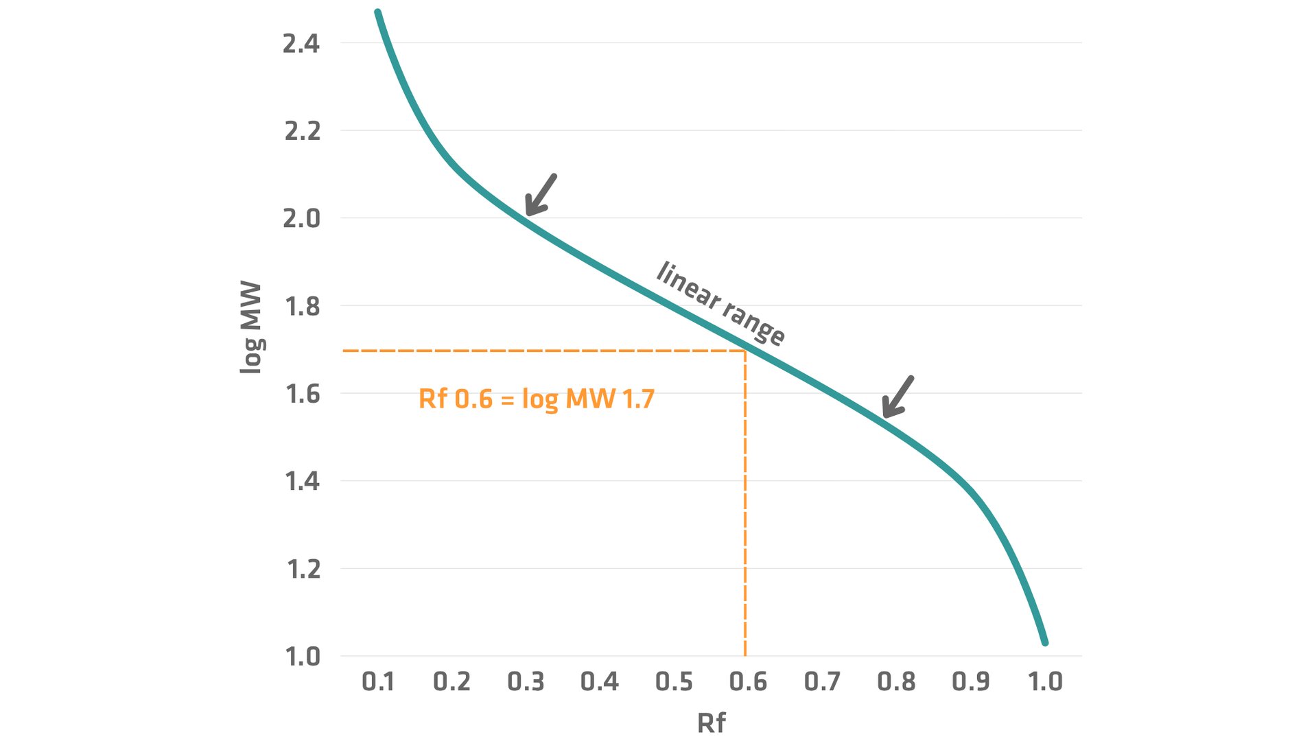 Relationship between protein migration and molecular weight. Example standard curve showing the linear resolving range and interpolation of a protein with an Rf of 0.6.