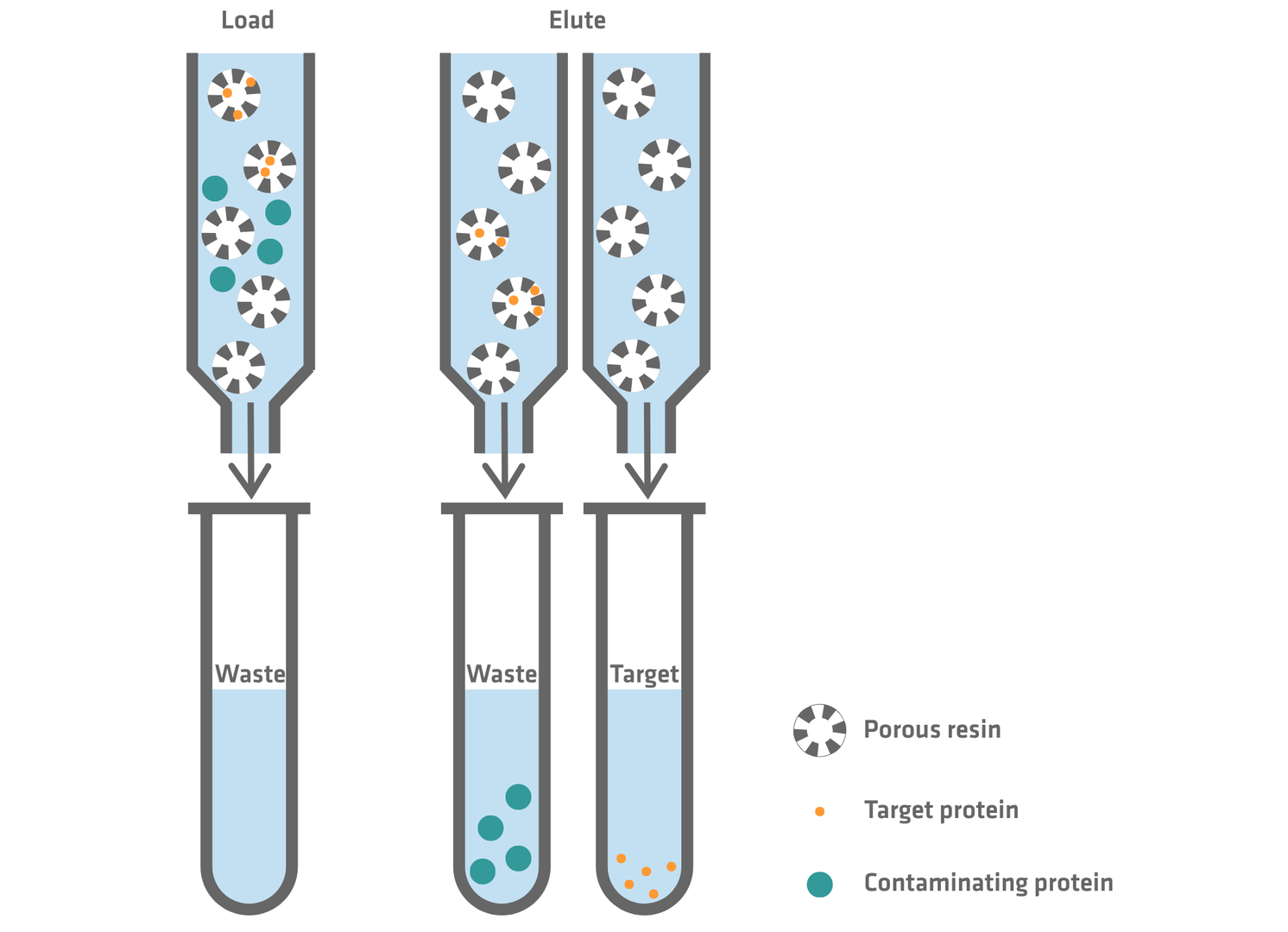 Size exclusion chromatography workflow