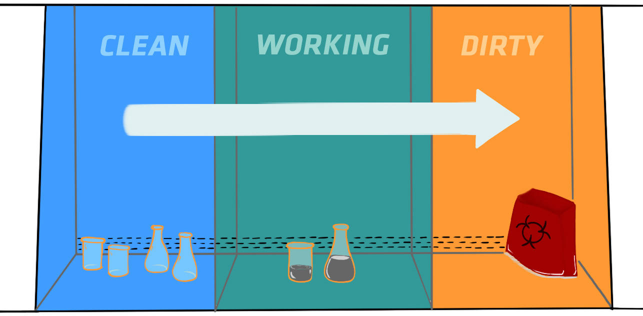 How to use a biosafety cabinet: working from clean to dirty