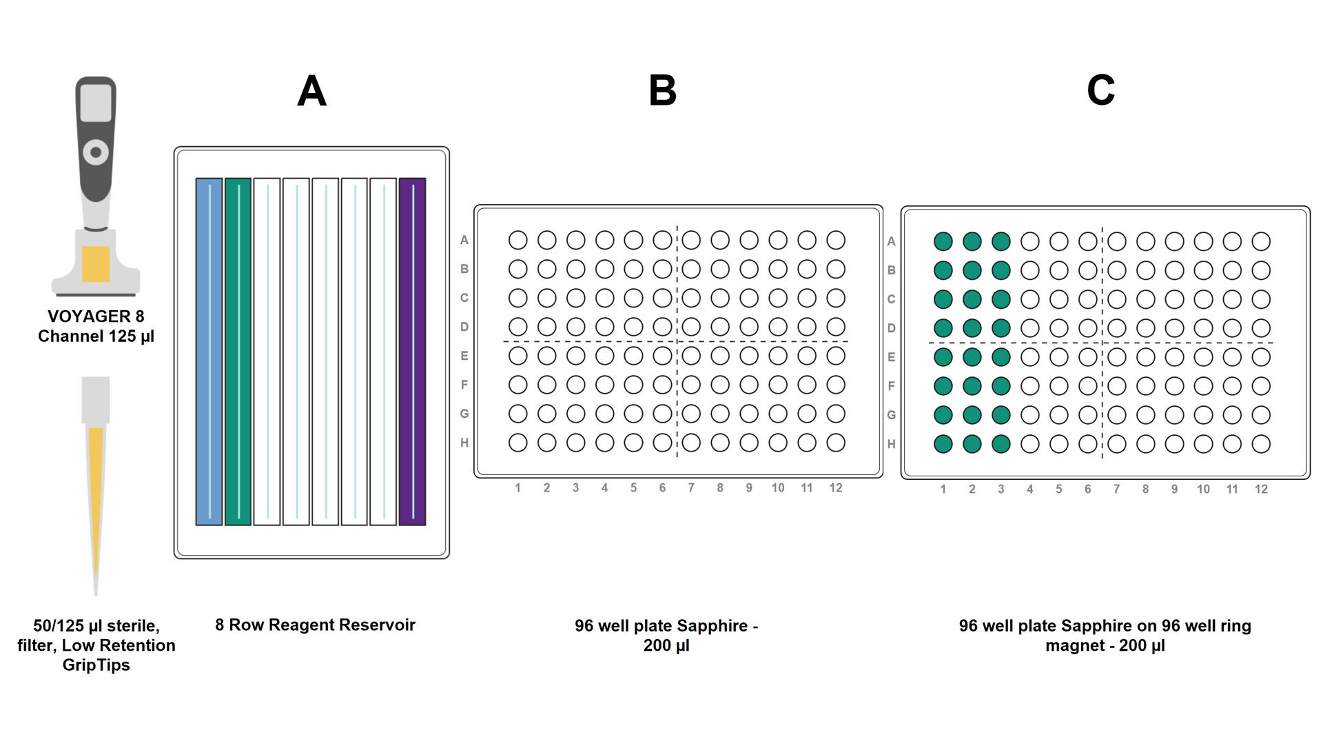 AMPure XP beads protocol for PCR purification INTEGRA