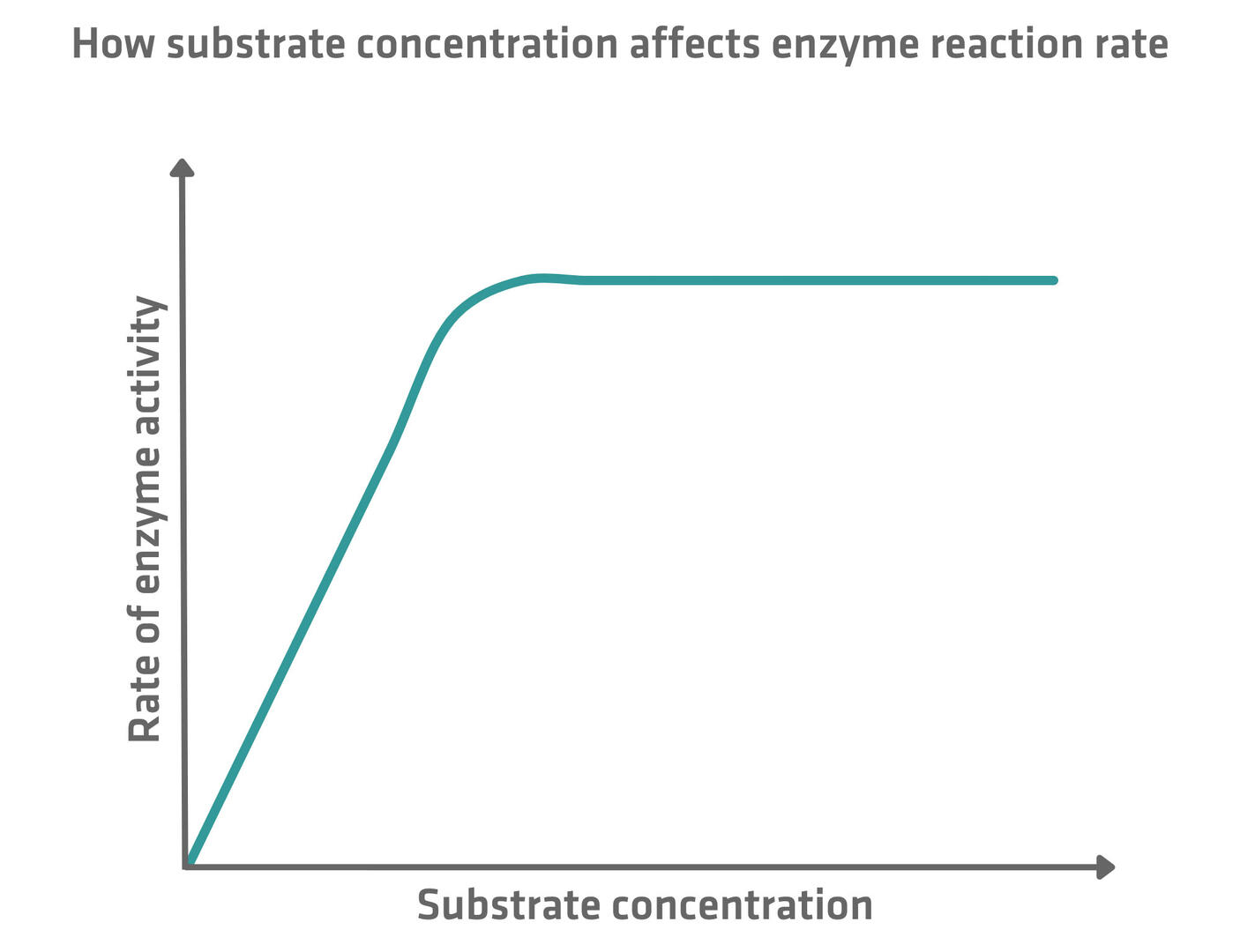 How substrate concentration affects enzyme reaction rate