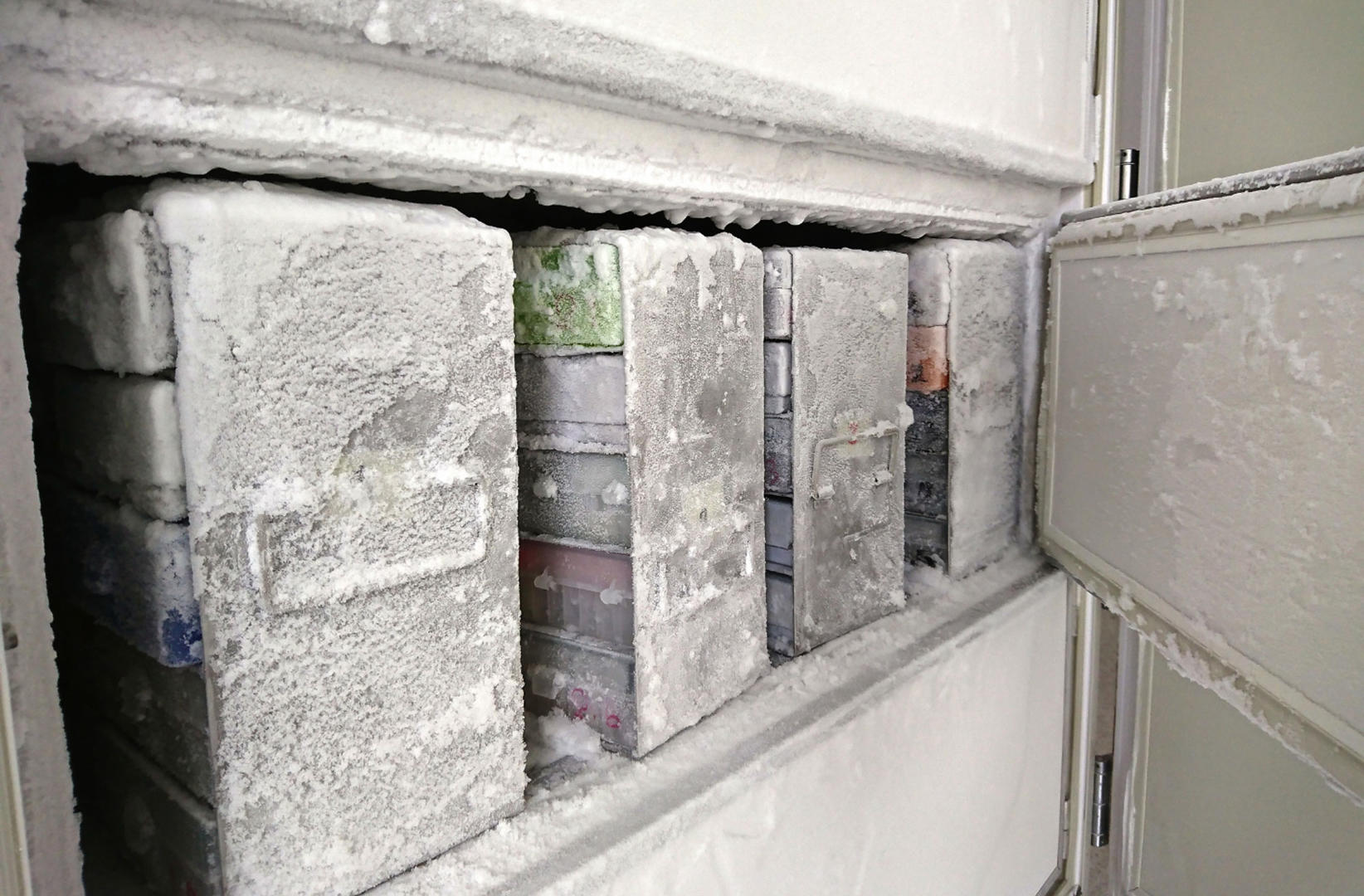 Ultra-low-temperature freezer
