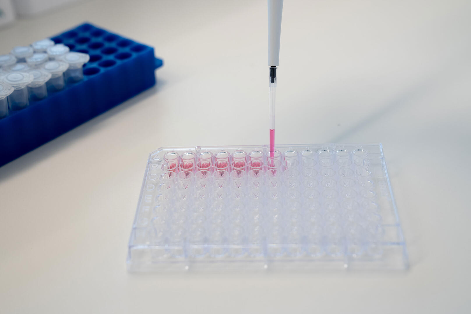 *Filling plate with repeat dispense function
