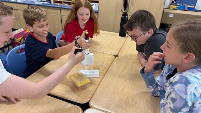 A group of elementary school students pipetting