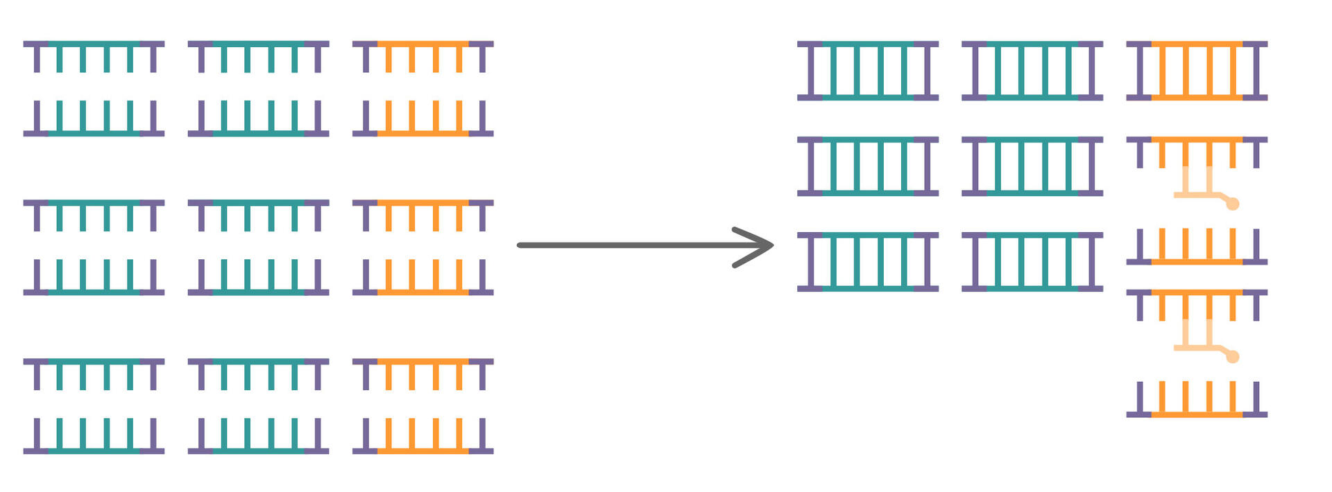 Denaturation of DNA sequences and probe binding