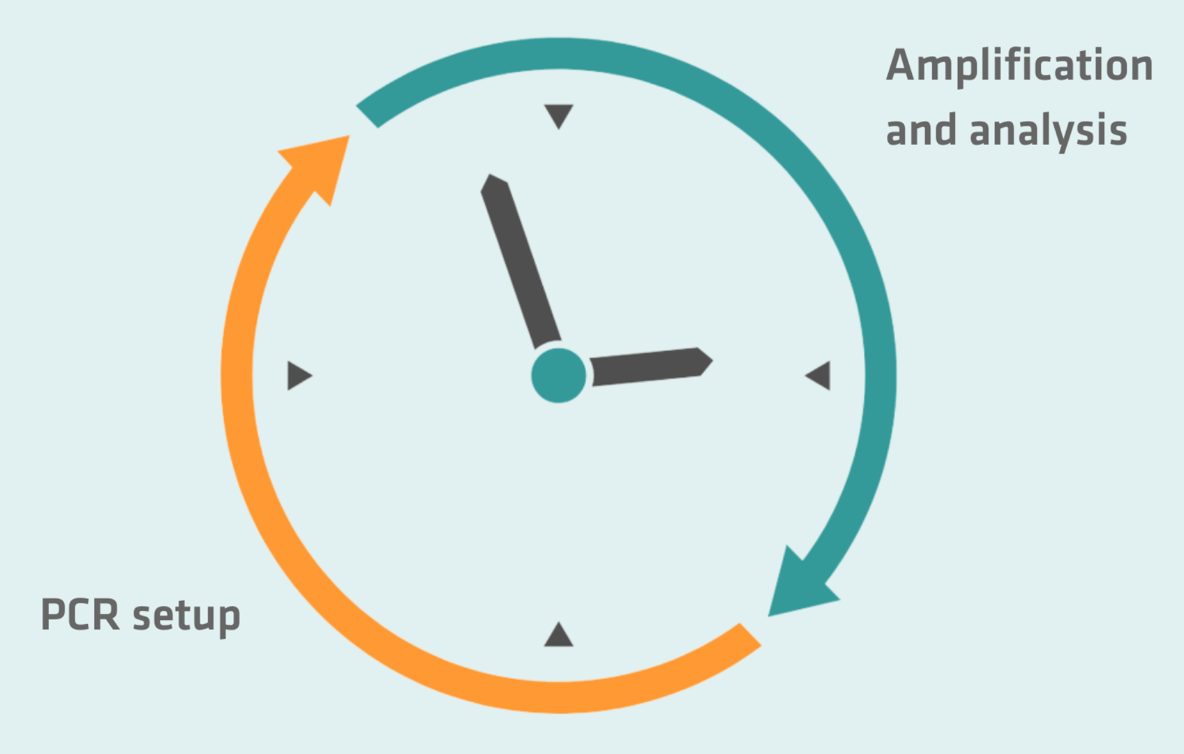 PCR lab design: Clock explaining that the PCR set-up and the amplification and analysis should be spatially and temporally separated