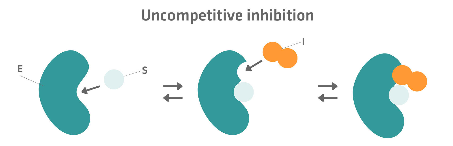 Uncompetitive inhibition