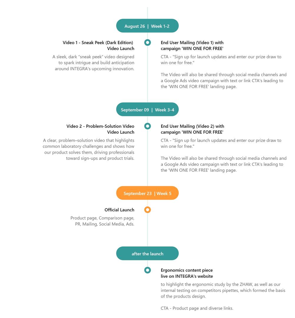 video-strategy-timeline