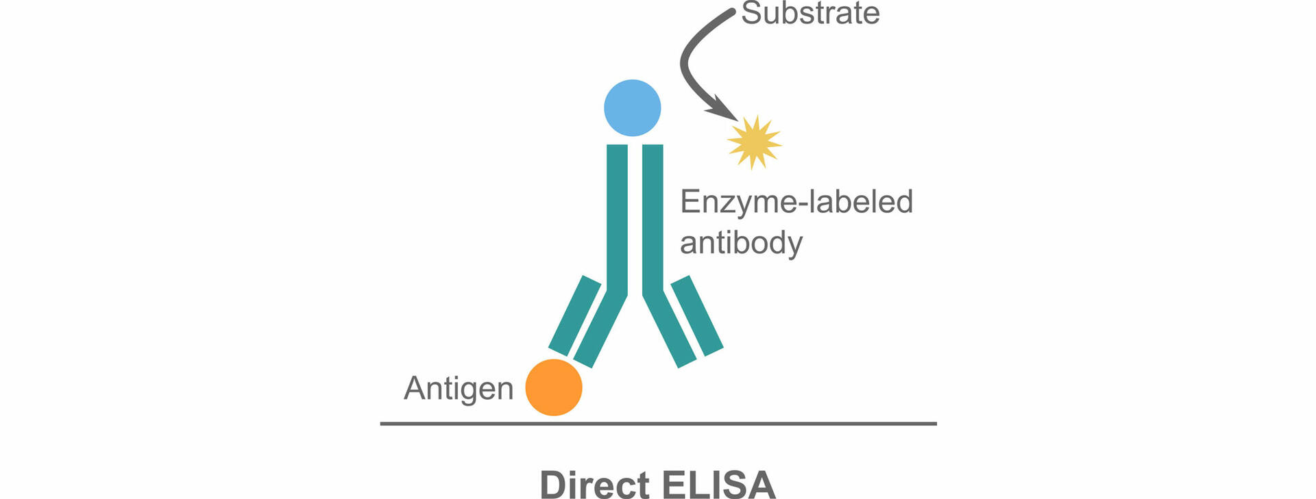 direct elisa