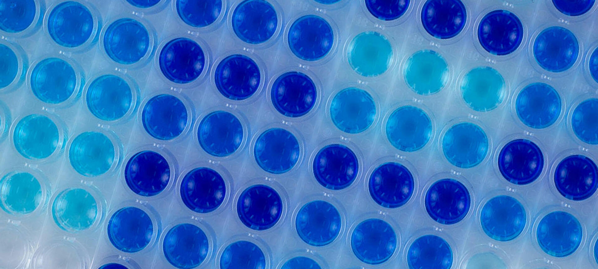 An introduction to the different types of ELISA tests INTEGRA